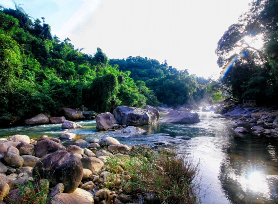 SUỐI TIÊN VŨNG TÀU - ĐÀ LẠT THU NHỎ
