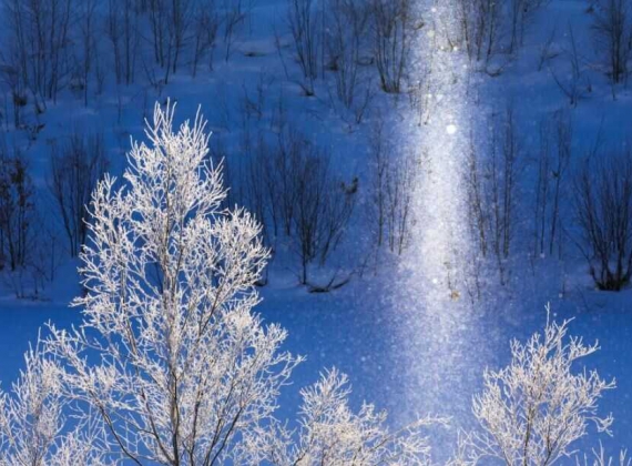 Bụi kim cương - hiện tượng thiên nhiên kỳ ảo mùa đông