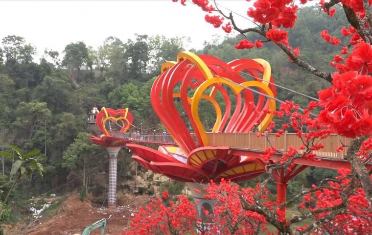 CAO NGUYÊN MỘC CHÂU