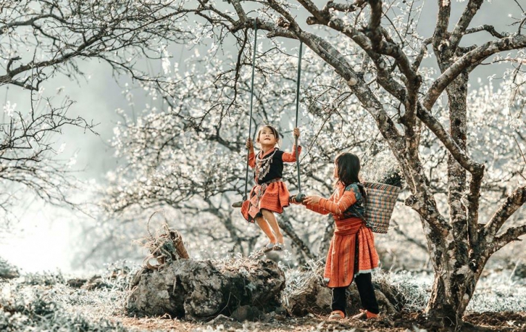 CAO NGUYÊN MỘC CHÂU