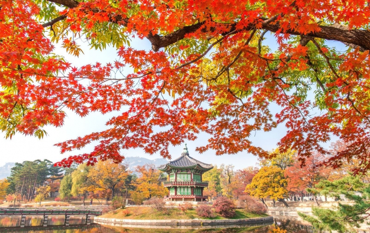 CHƯƠNG TRÌNH DU LỊCH MÙA THU CAO CẤP SEOUL – NAMI - EVERLAND