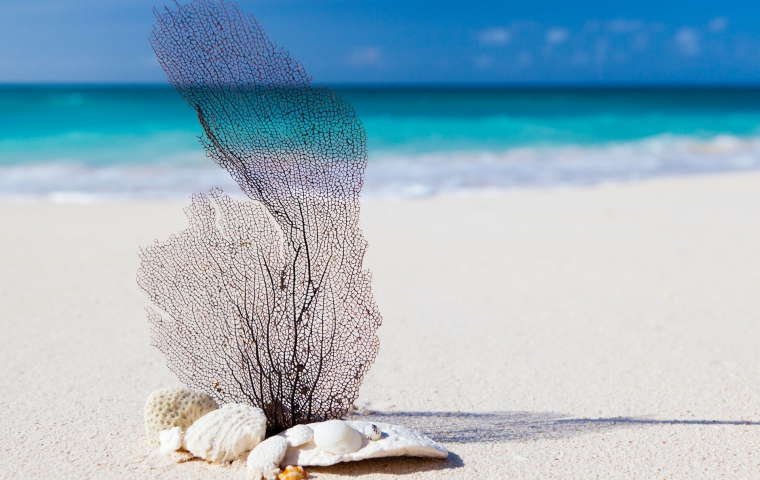 COMBO TÀU CAO TỐC SÓC TRĂNG - CÔN ĐẢO 3N2Đ