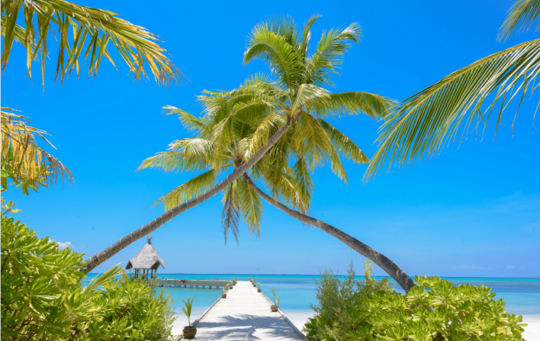 ĐẢO NGỌC PHÚ QUỐC