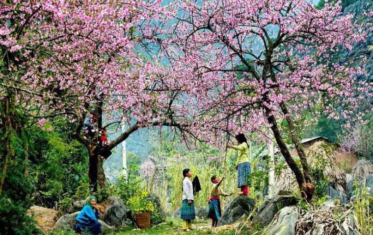 HÀ GIANG – ĐỒNG VĂN - MÃ PÍ LÈNG - SÔNG NHO QUẾ - THÁC BẢN GIỐC 