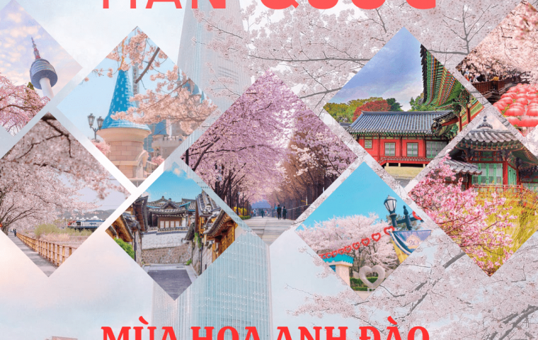 HÀN QUỐC MÙA HOA ANH ĐÀO (BAY VNA)