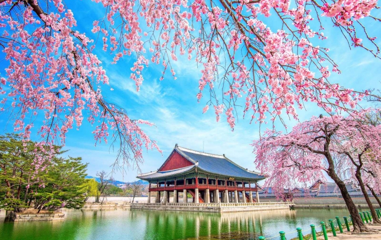 HÀNH TRÌNH MÙA XUÂN 2023 SEOUL - ĐẢO NAMI - HOA ANH ĐÀO - HERO SHOW -NAMSAN