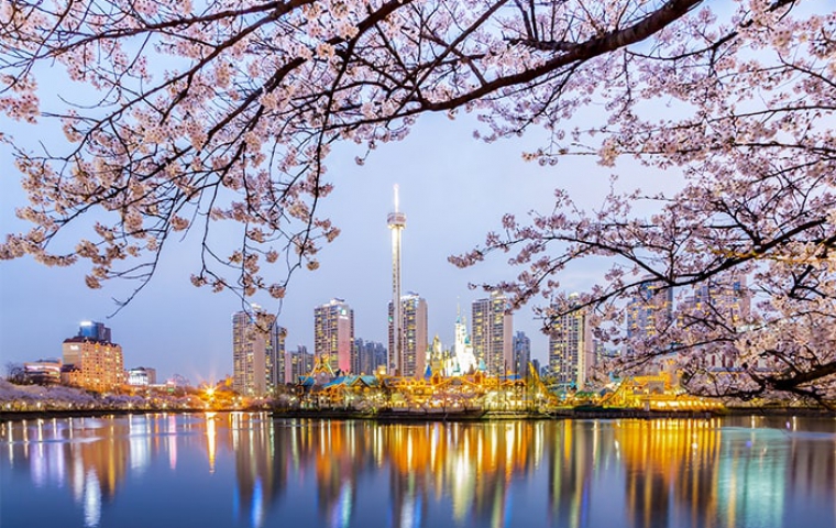 HÀNH TRÌNH NGẮM HOA ANH ĐÀO TẠI XỨ SỞ KIM CHI SEOUL – NAMI – EVERLAND – NAMSAN – HERO SHOW