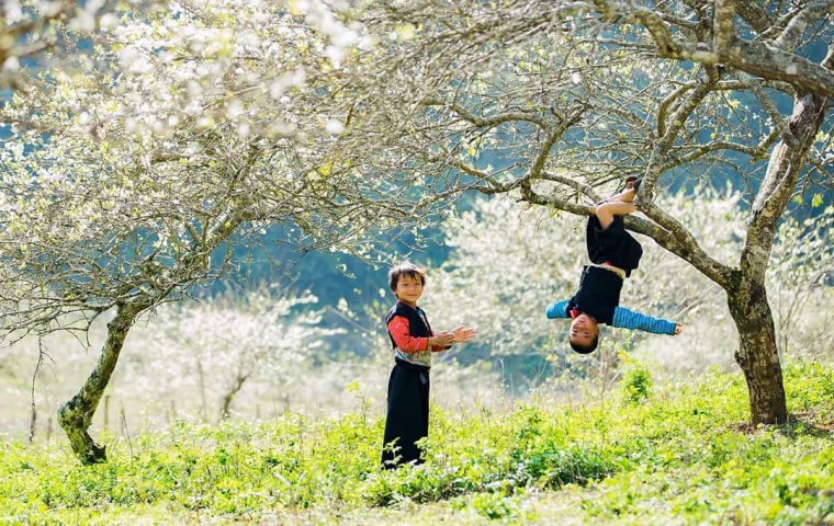 KHÁM PHÁ MAI CHÂU - MỘC CHÂU