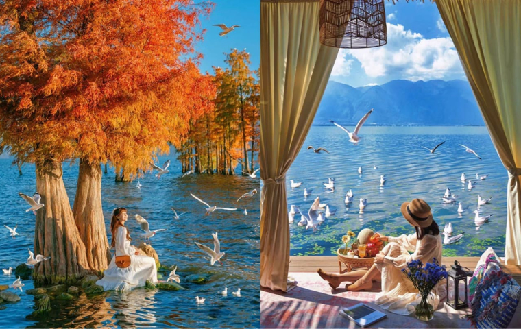 LỆ GIANG - ĐẠI LÝ - SHANGRILA  6N5Đ