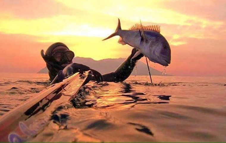 QUY NHƠN – ĐỀ GI - VŨNG BỒI