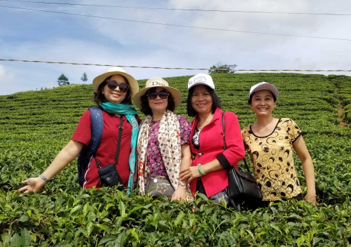 SAIGONBLUE TRAVEL: TOUR ĐÀ LẠT 1-4/8/2022