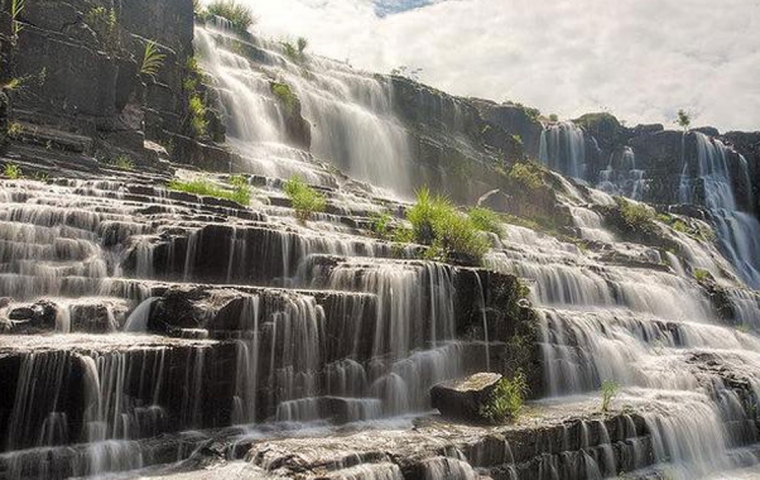 SĂN MÂY ĐÀ LẠT ĐÀ LẠT– KOKORO