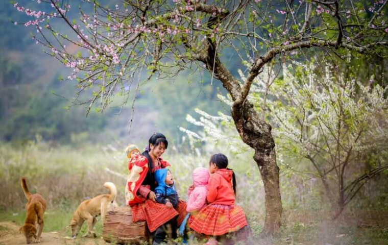 SAPA - FANSIPAN - HÀ GIANG - MÃ PÍ LÈNG - SÔNG NHO QUẾ