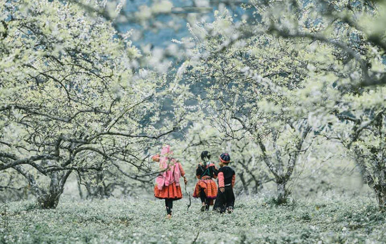 TÂY BẮC: MAI CHÂU – MỘC CHÂU – SƠN LA – ĐIỆN BIÊN – LAI CHÂU 