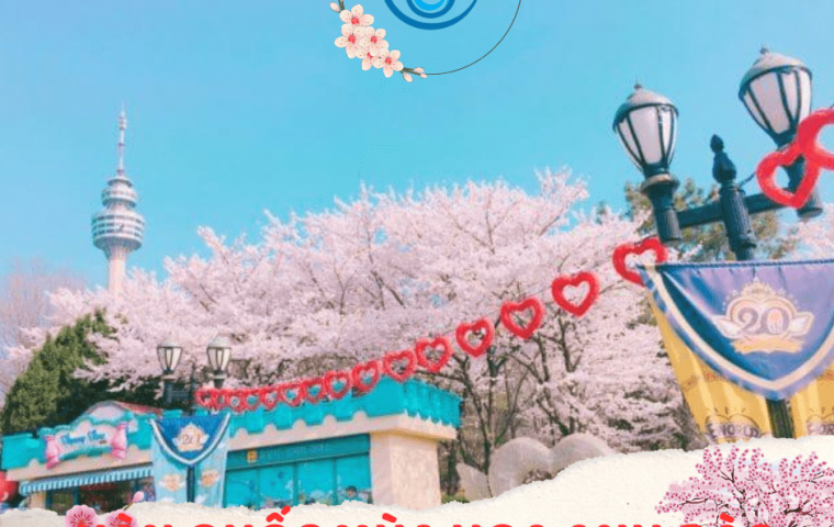 THƯỞNG NGOẠN MÙA HOA ANH ĐÀO HÀN QUỐC (BAY VJA)