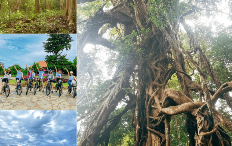 VỀ RỪNG NAM CÁT TIÊN - CHIÊM NGƯỠNG 